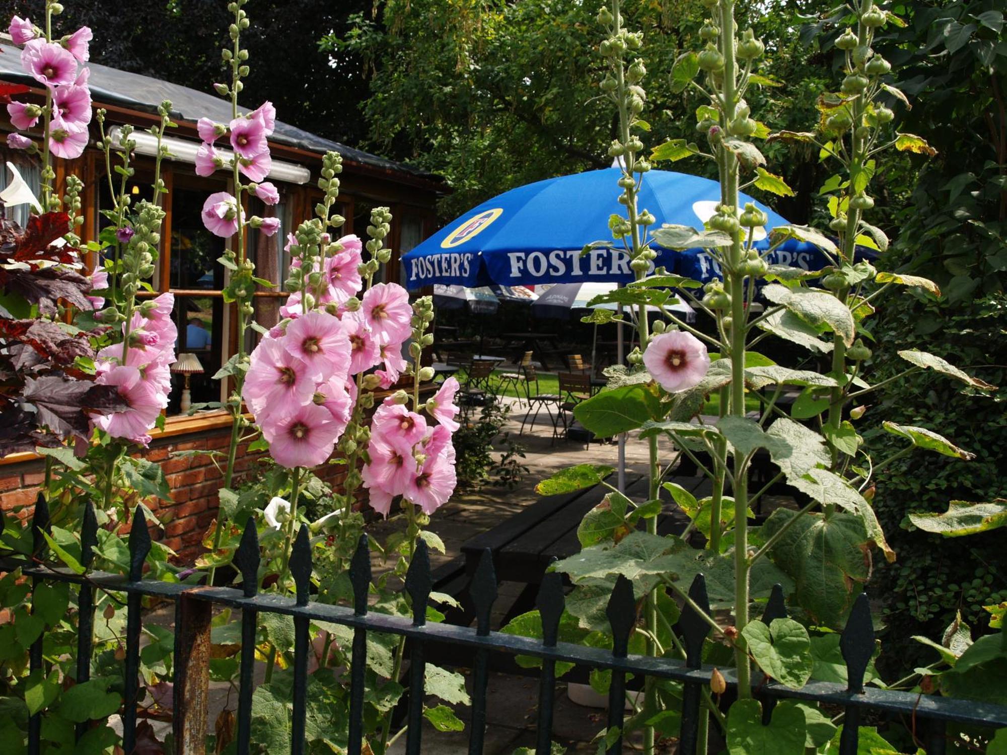 The Olde Windmill Inn Great Cressingham Eksteriør bilde
